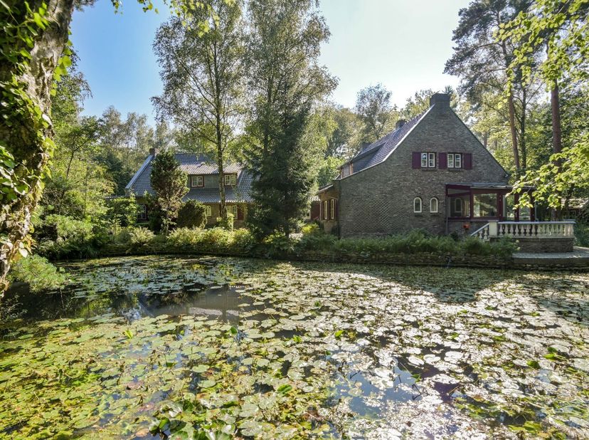 UITZONDERLIJKE VILLA MET GASTENVERBLIJF OP EEN PRESTIGIEUZE LOCATIE TE REKEM !<br />
<br />
We vinden deze open woning met een bewoonbare oppervlakte