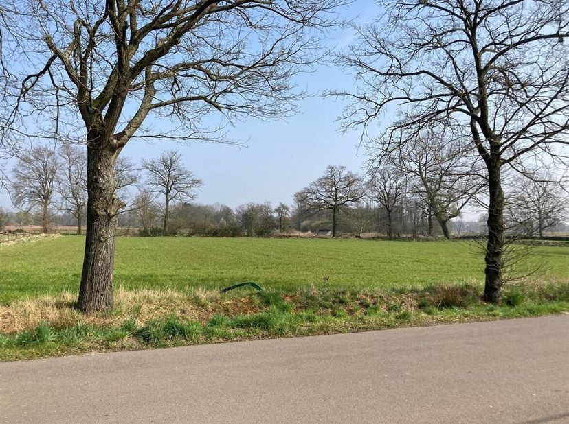 Deze bouwgrond is gelegen op 3 minuten van het centrum van Olmen in een zeer rustige buurt.<br />
De bouwgrond is geschikt voor het bouwen van een ope