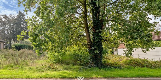 Terrain à vendre à Oudestraat 39, 3520 Zonhoven
