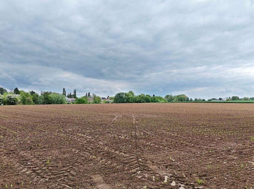 Zeer fijn gecultiveerd land met een oppervlakte van 1 ha 94 a 55 ca.<br />
Vlakke topografie.<br />
Bereikbaar via de weg.<br />
Bodem van goede kw