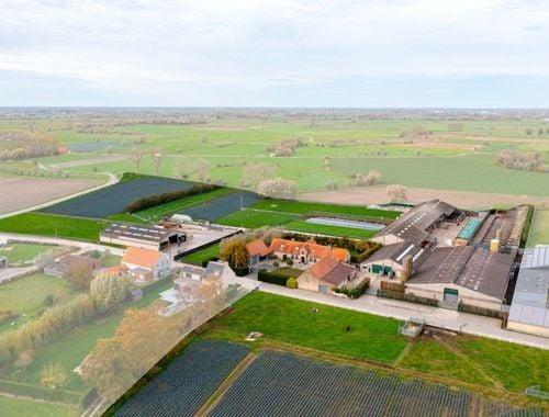                             Hoeve te koop in Woumen
