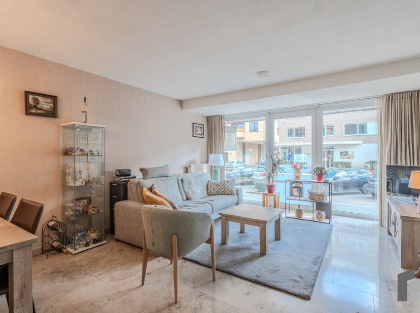 Op wandelafstand van de duinen en de zee, bevindt zich dit verzorgde gelijkvloers appartement met één slaapkamer. U geniet hier van een rustige omgevi
