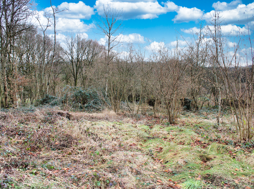 Bouwterrein (niet-verkaveld) gedeeltelijk in woonzone met landelijk karakter en in landbouwzone<br />
Info +: mogelijkheid in 2 loten te delen dankzij