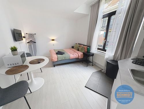                                         Appartement à louer à Etterbeek, € 800
