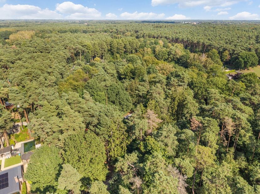 Gelegen op een uitzonderlijke locatie te Grobbendonk: zeer rustig, middenin het groen en op slechts 5 minuten van zowel het centrum van Grobbendonk, V