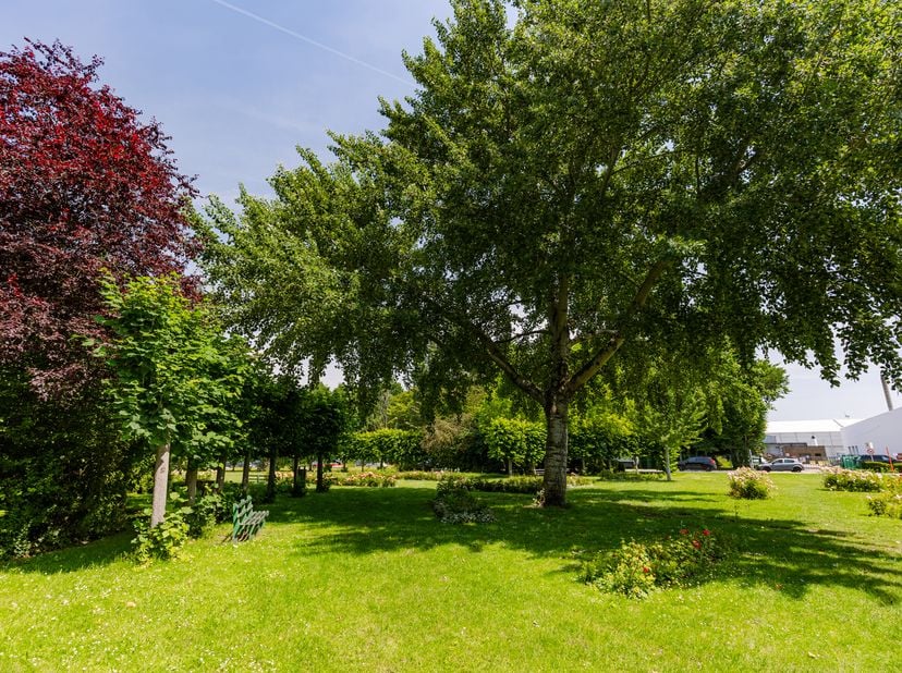Bent u op zoek naar een instapklaar appartement op een vlot bereikbare locatie? Dan is dit volledig gerenoveerde appartement een uitstekende opportuni