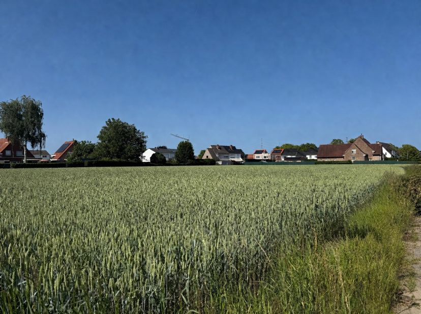 Terrain à vendre
                    à 8580 Avelgem