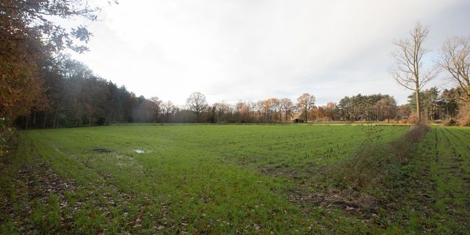 Terrain à vendre à Zavelstraat /, 2275 Lille