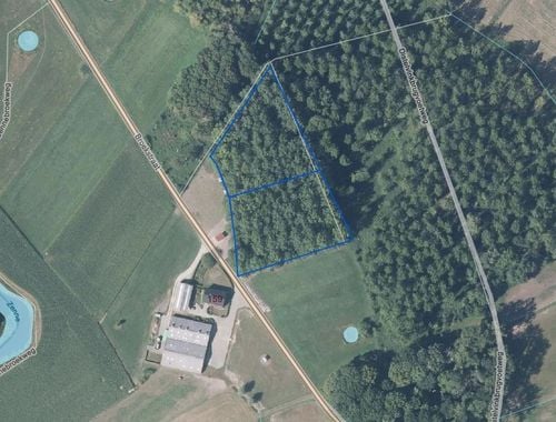                                         Bos te koop in Zemst, € 35.000
