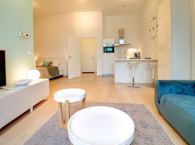 Magnifique studio meublé de 53m² composé:<br />
- un hall d'entrée avec toilette, <br />
- une buanderie équipée (machine à laver et séche-linge), <br