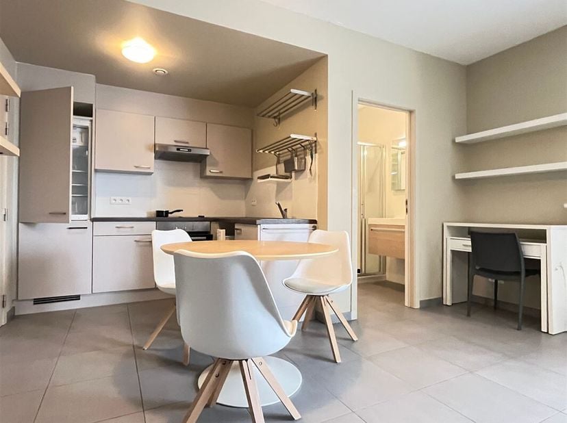 Prachtige studio op de 4e verdieping met lift, gelegen in een hoogwaardig appartementencomplex vlakbij alle voorzieningen en het stadscentrum van Door