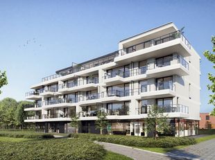 COMMERCIAL Image