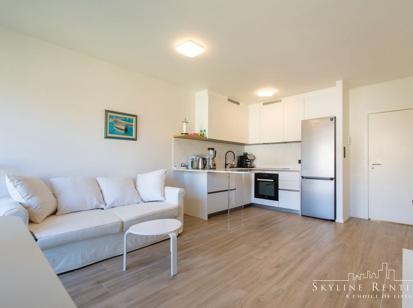 AG/ A1.3 Dit prachtige, volledig gemeubileerde appartement met twee slaapkamers ligt tussen Place Flagey en de Europese Commissie, vlakbij winkels en