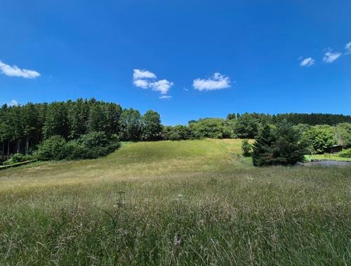                                         Bouwgrond te koop in Harre, € 95.000

