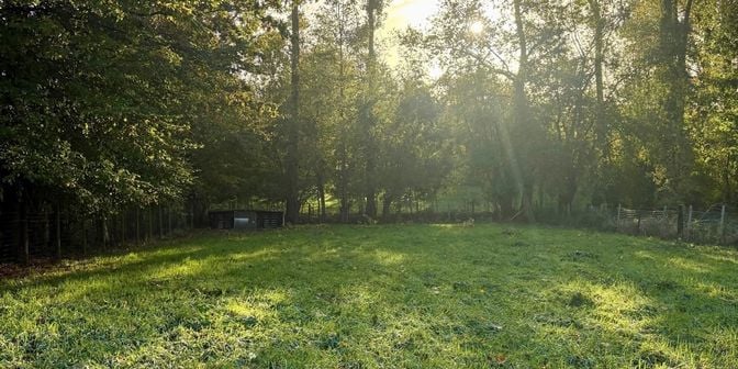 Grond te koop in 9451 Kerksken