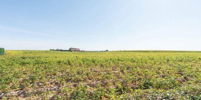 Huis te koop in Vlaamseardennenstraat 40, 9790 Ooike