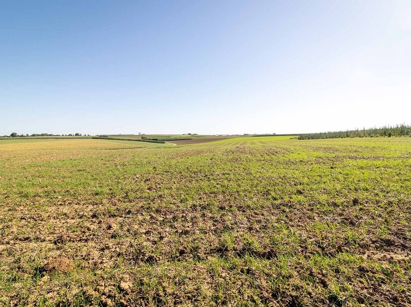 Grond te koop in Den Armenberg .,
                    3800 Sint-Truiden