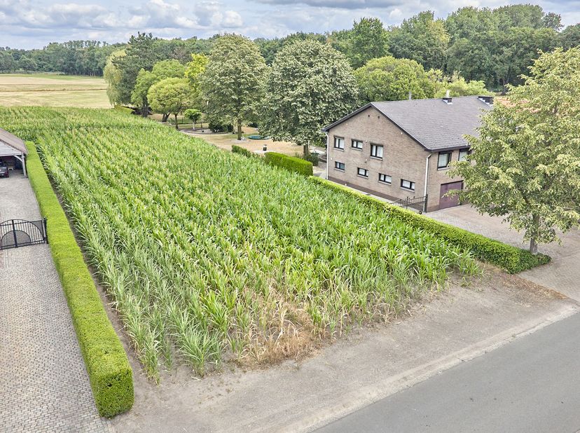 Zeer rustig en mooi gelegen perceel bouwgrond van 09a 62ca in de Merelstraat geschikt voor het bouwen van een open bebouwing. Dit perceel ligt in een