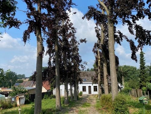                                         Hoeve te koop in Munkzwalm, € 295.000
