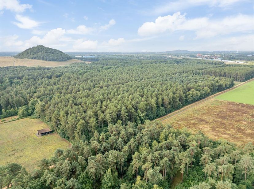 Bosgrond op Grote Heide in Oudsbergen <br />
Bent u op zoek naar een stuk natuur om tot rust te komen of als investering voor de toekomst? In het groe