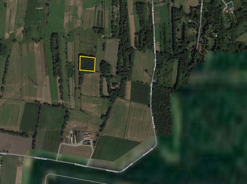 Parcelle entre Ruitersbaan et New Dike<br />
<br />
47 épis 50 centimètres