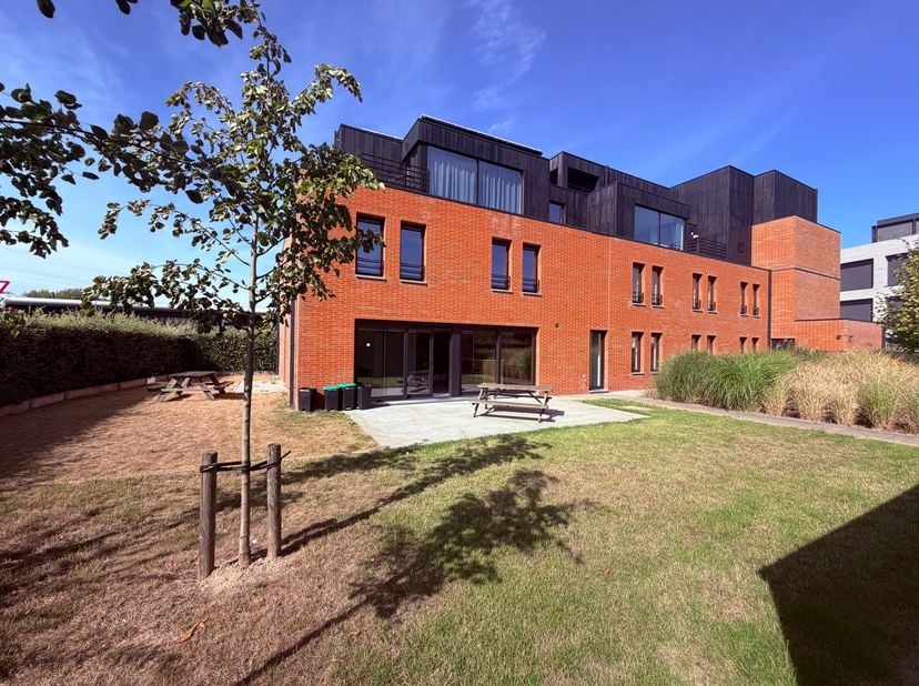 Kot-Colocation à louer
                    à 8500 Kortrijk