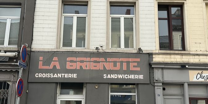 Bien professionnel à vendre à 7600 Péruwelz