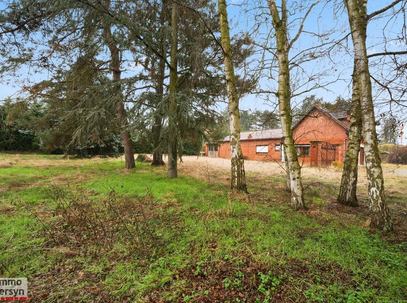 Grond te koop in Staatsbaan 182A,
                    3460 Bekkevoort