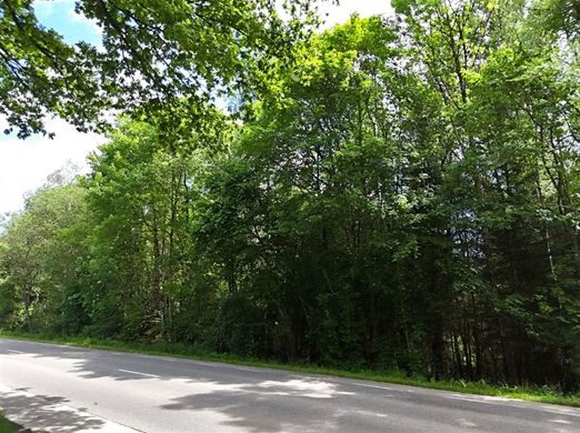 Terrain d'une contenance de 42 a 70 ca (4270 m²) situé majoritairement en zone d'habitat.<br />
Il présente une façade à rue d'environ 85 mètres.<br /