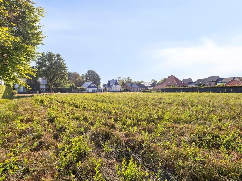 DRIE ruime percelen voor OPEN bebouwing te koop, vlakbij het centrum van As.<br />
Prachtig gelegen, met het comfort van het centrum vlakbij, en maar