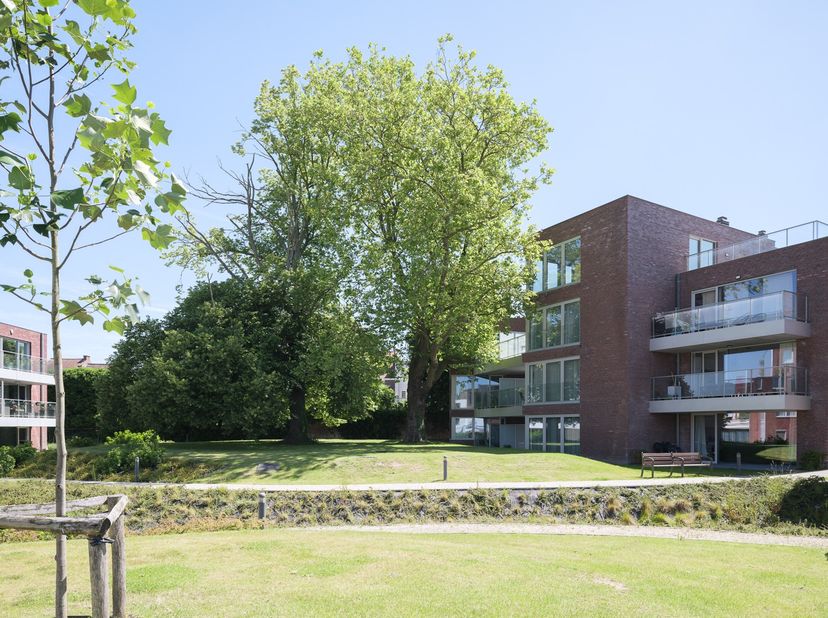 Appartement à vendre
                    à 9600 Renaix