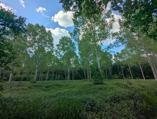                                         Landbouwgrond te koop in Haacht, € 45.000
