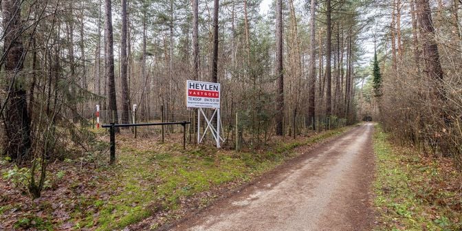 Grond te koop in Hogenberg Heiken E204e, 2460 Kasterlee