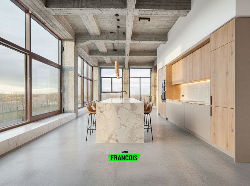 Penthouse duplex unique situé aux 6e et 7e étages d'une ancienne usine d'aliments pour animaux qui a été réaménagée en un bâtiment contemporain de car