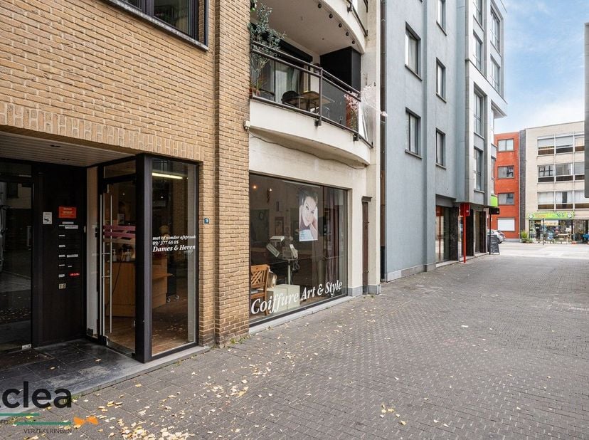 Bien professionnel à vendre
                    à 9900 Eeklo