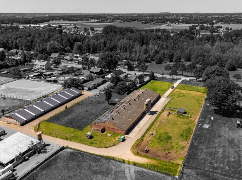 Vleeskalveren bedrijf te koop te Meeuwen Gruitrode (Plockroy) met 880 plaatsen voor kalveren.<br />
Bestaande uit 2 stallen, volledig uitgerust en in