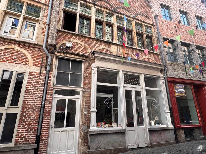 Appartement te huur in Serpentstraat 14,
                    9000 Gent