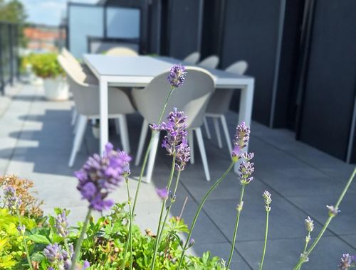                                         Penthouse à vendre à Merchtem, € 453.000
