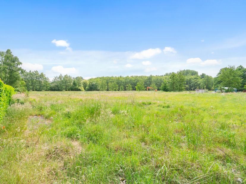 Terrain à vendre
                    à 3545 Halen
