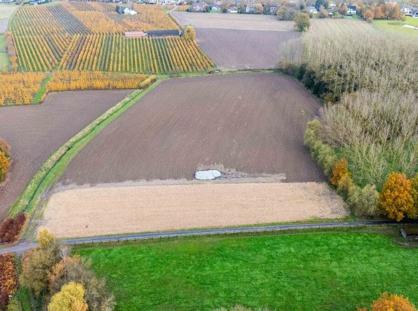 Deze landbouwgrond heeft een totaaloppervlakte van 1ha 81a 30ca, in een residentiële omgeving te Rapertingen, Hasselt. Voor meer informatie ga naar ht