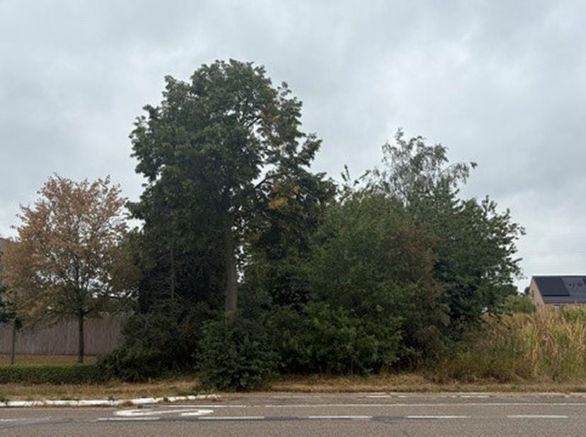 Terrain à vendre
                    à 3650 Elen