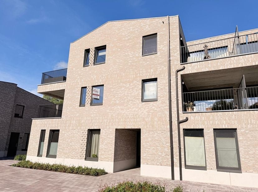 Appartement à louer à Pastoor Thielemanssstraat 10 boîte 4,
                    2590 Berlaar
