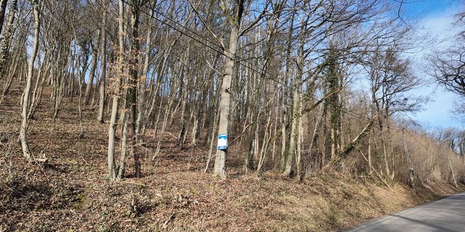 Grond te koop in rue Boclinville, 6941 Bomal