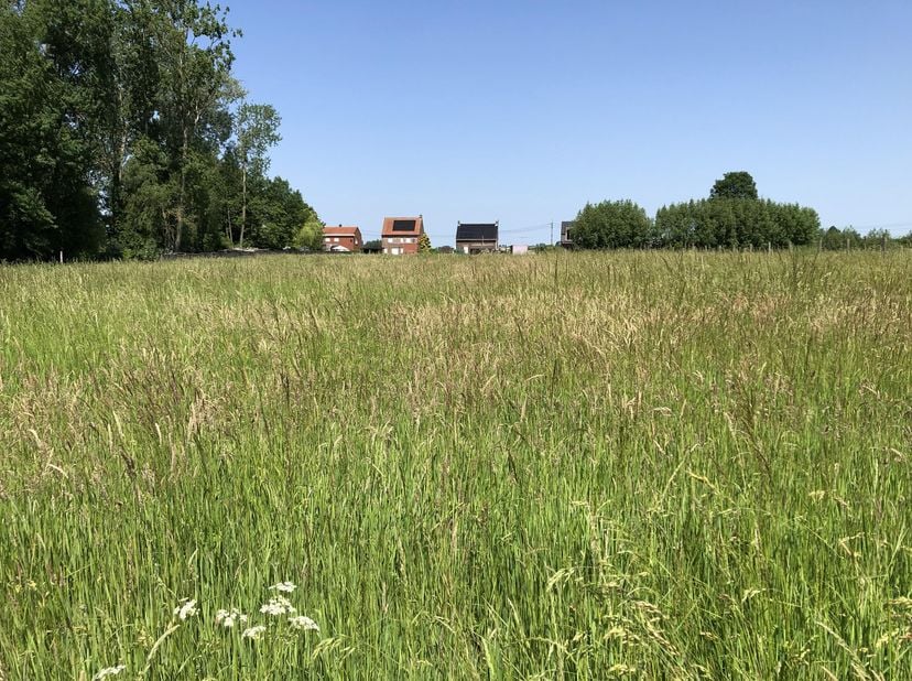 Alleenstaande woning met veel mogelijkheden op 1 295m² bouwgrond + 4 420m² weide te Houthulst.<br />
<br />
Dit ruime perceel laat u genieten van een