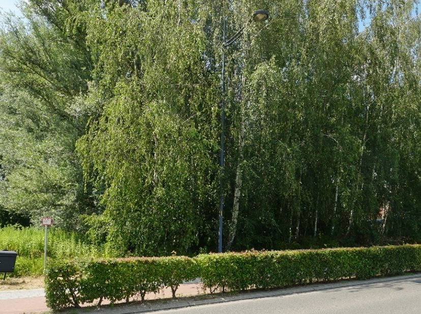 Terrain à vendre
                    à 3120 Tremelo