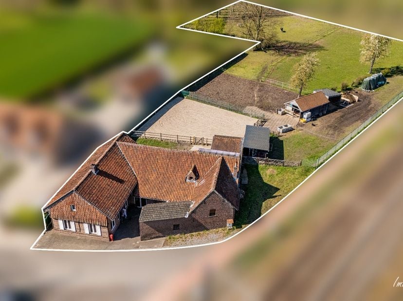 In een rustige en groene omgeving bevindt zich deze karaktervolle boerderij met omliggende weides en een aangelegde piste op +/-60 are, ideaal voor wi