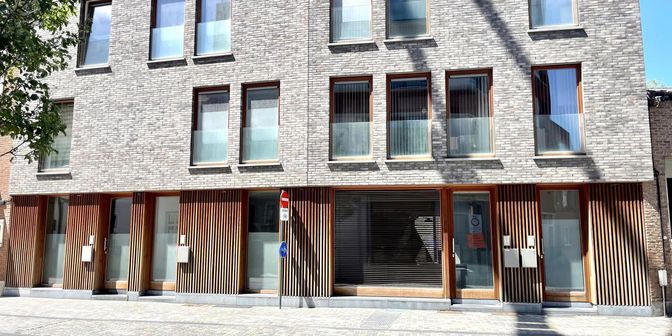 Bien professionnel à vendre à Goswin de Stassartstraat 29, 2800 Mechelen