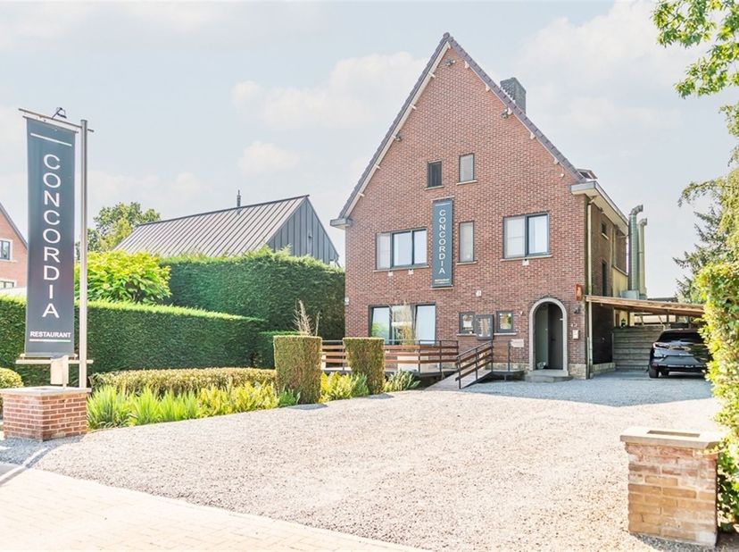 Bien professionnel à vendre à Nijverheidslaan 43,
                    3630 Eisden