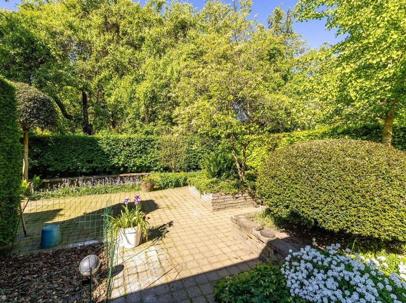 Op zoek naar een charmante, goed verzorgde woning met 3 slaapkamers en voorzien van een tuin, terras, oprit en garage? Kom dan zeker deze woning ontde