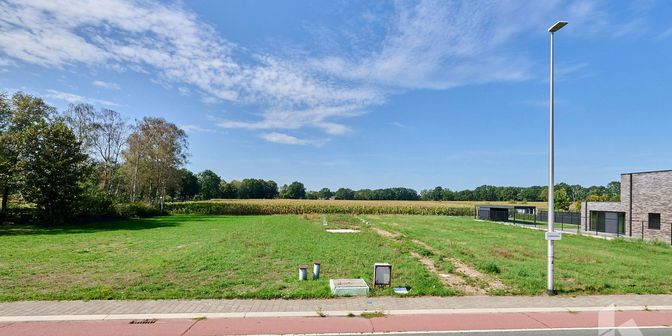 Grond te koop in Lindelsebaan 158, 3900 Overpelt
